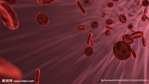 血红细胞的运动 