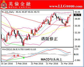 国内炒现货原油平台比较好的有哪些？风险大不大呢？