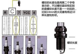 不同车型适用的火花塞型号有什么区别和特点？