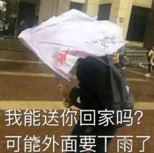 与关于大雨的诗句