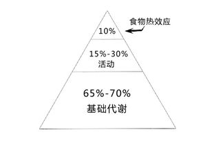 人早上刚起时的基础代谢率要比其他时候低吗 为什么我早上起来总是基代不达标（用体脂秤）