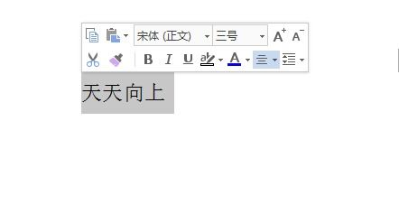 wps怎么弄好看字体(wps怎么弄好看的字体)(wps字体样式怎么设置)