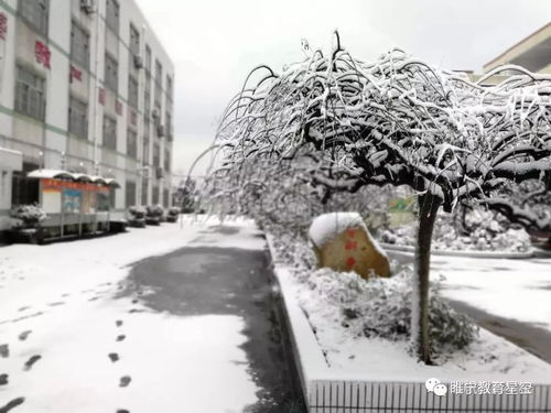 温馨提示 雪天路滑 注意安全