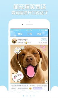 宠物说app 宠物说手机版下载 v3.0.2安卓版 
