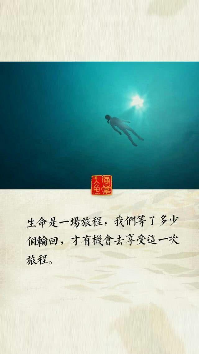 大鱼海棠 总有一句适合现在的你,收藏起来以后慢慢看 