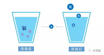 自来水不宜直接养鱼 主因是含 氯 ,如何处理后才能养鱼