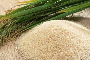 大米中含有什么 