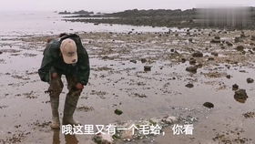 四哥赶海抓了个大杂烩,肉鱼一条接一条,还有八爪鱼兰花蟹