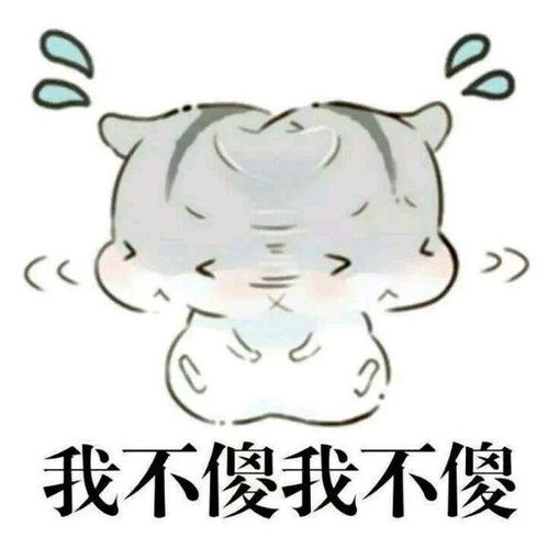 小仓鼠情侣对话表情包 mua 晚安 