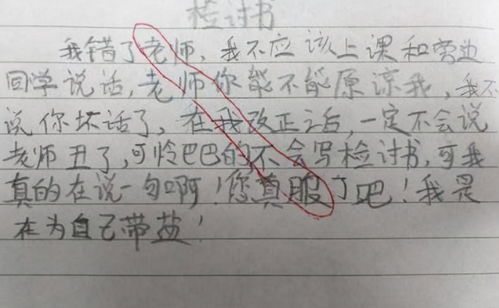 不服从领导安排的该怎么处理