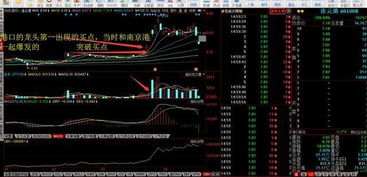 求新能源、环保、3G板块的五个龙头股票(附代码)