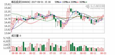 汇通控股首发事项将于8月25日在上交所上会