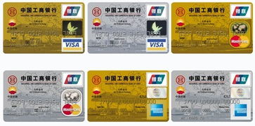 请工商银行牡丹中油国际信用卡 visa 金卡都有哪些特权(工商银行信用卡指定加油站)