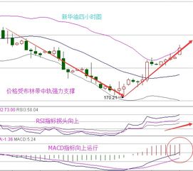 2.16 股票如何操作