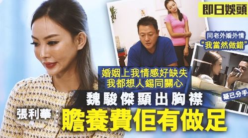 魏骏杰小20岁前妻首度剖白 自言六年没有夫妻生活,两人都痛苦