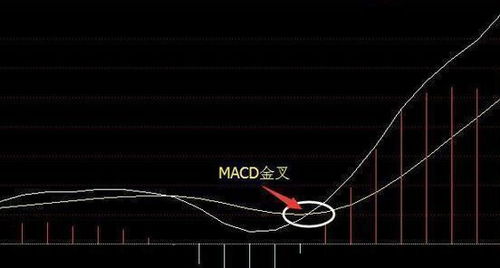 均线、均量线与MACD怎么在大智慧里一起显示?