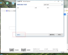 如何在win10ie浏览器东西