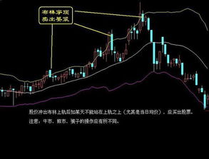 抛空股票是卖出全部股票吗？ 还是卖出一部分也叫抛空？ 请不要复制百科， 百科解释只说是卖出股票，