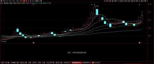 天齐锂业股票下半年会怎样走