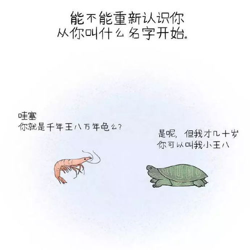 能不能重新认识你,从你叫什么名字开始 