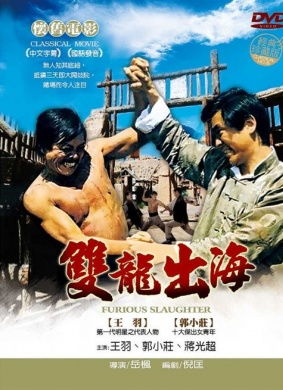 双龙出海The Two Cavaliers 1973 1905电影网 