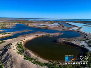 航拍白银景泰白墩子湿地,色彩瑰丽似花毯 