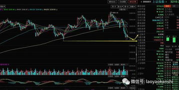 老妖看盘 大盘为什么大跌 明日股市行情走势分析