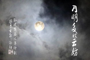 每逢佳节倍思亲 中秋夜随想 