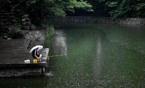 都说下雨好钓鱼,那么为什么很多时候,雨后出钓反而没什么渔获呢