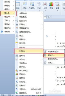 WPS Office公式编辑器如何给公式编号 