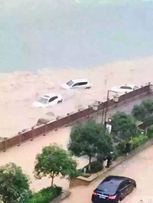重庆巫溪突发山洪多辆汽车被冲走 