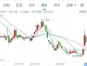 持股比例100%是什么意思