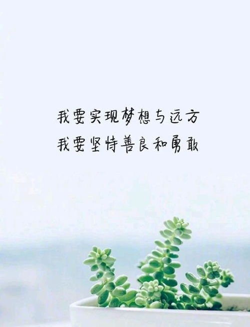 描写立冬的唯美句子励志;冬跑励志句子？