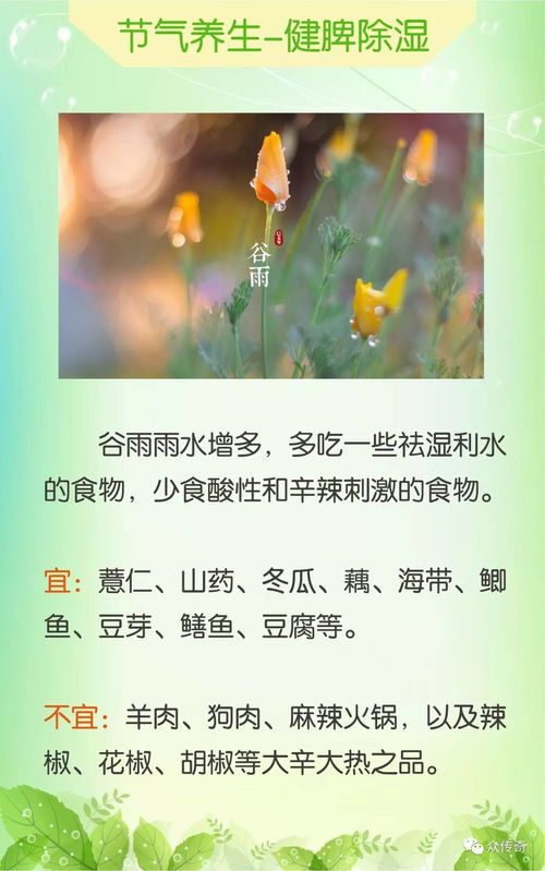 谷雨时节养生方向是什么