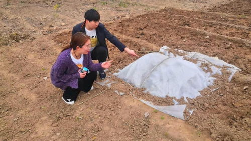 婆婆去世五年,儿媳却总梦到她喊饿 