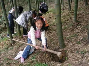 清明特别策划 来溧阳这里你的小长假绝不无聊 