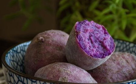 山区可以种紫薯吗的那些事(紫薯能种树边吗)