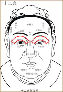 面相解析 田宅宽厚与命运