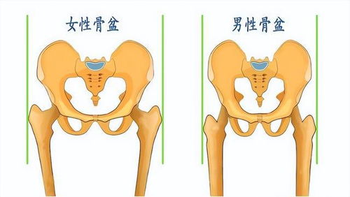 上下楼 蹲起就膝盖疼,走平路没事,是怎么了 骨科主任给您支招