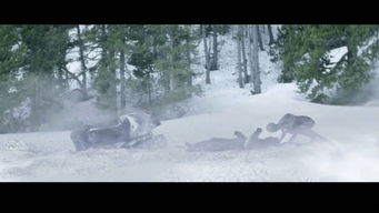 有个外国僵尸片是在雪地里追一个骑摩托车的人,是什么电影 