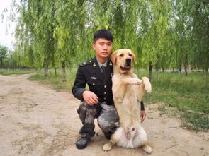 图 通州宠物寄养,通州宠物训练,朝阳宠物寄养 北京宠物服务 
