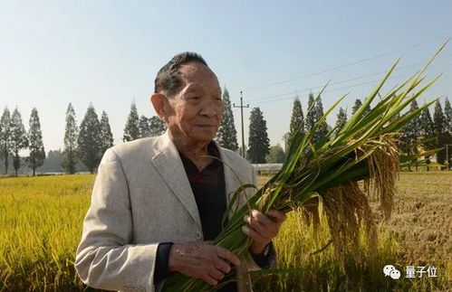 袁隆平逝世,新华社建议降半旗致哀,钟南山送上深情缅怀