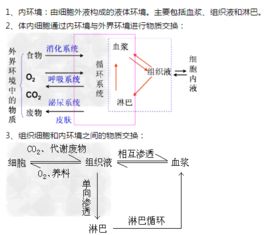 生物 生物 高中生物 谁给我解释一下这个图字母代表什么意思 