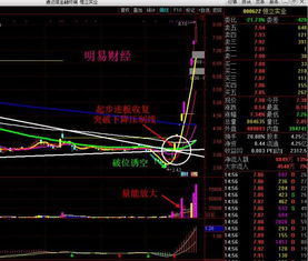 恒立实业为什么连续涨停