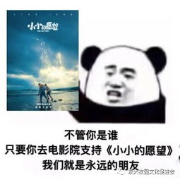 兄弟励志的故事长篇,表示和兄弟一起成长的句子？