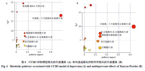 文化查重率背后的技术原理