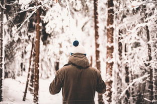 试拂铁衣如雪色的意境，铁血豪情下的千古风华试拂铁衣如雪衣