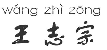 请教我,王志宗三个字的拼音怎么写 