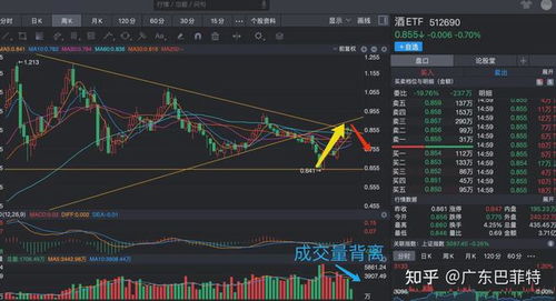 酒类股市行情今日分析最新