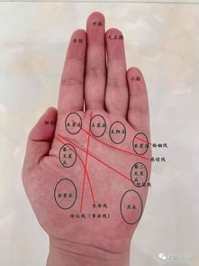 手相掌丘金星丘竖纹,手纹相上各大星丘代表了些什么 手掌八大星丘代表的含义解析？